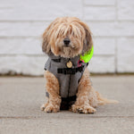 Load image into Gallery viewer, Warm Hoodie Jacket with Backpack - Water-Repellent
