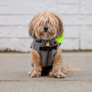 Warm Hoodie Jacket with Backpack - Water-Repellent