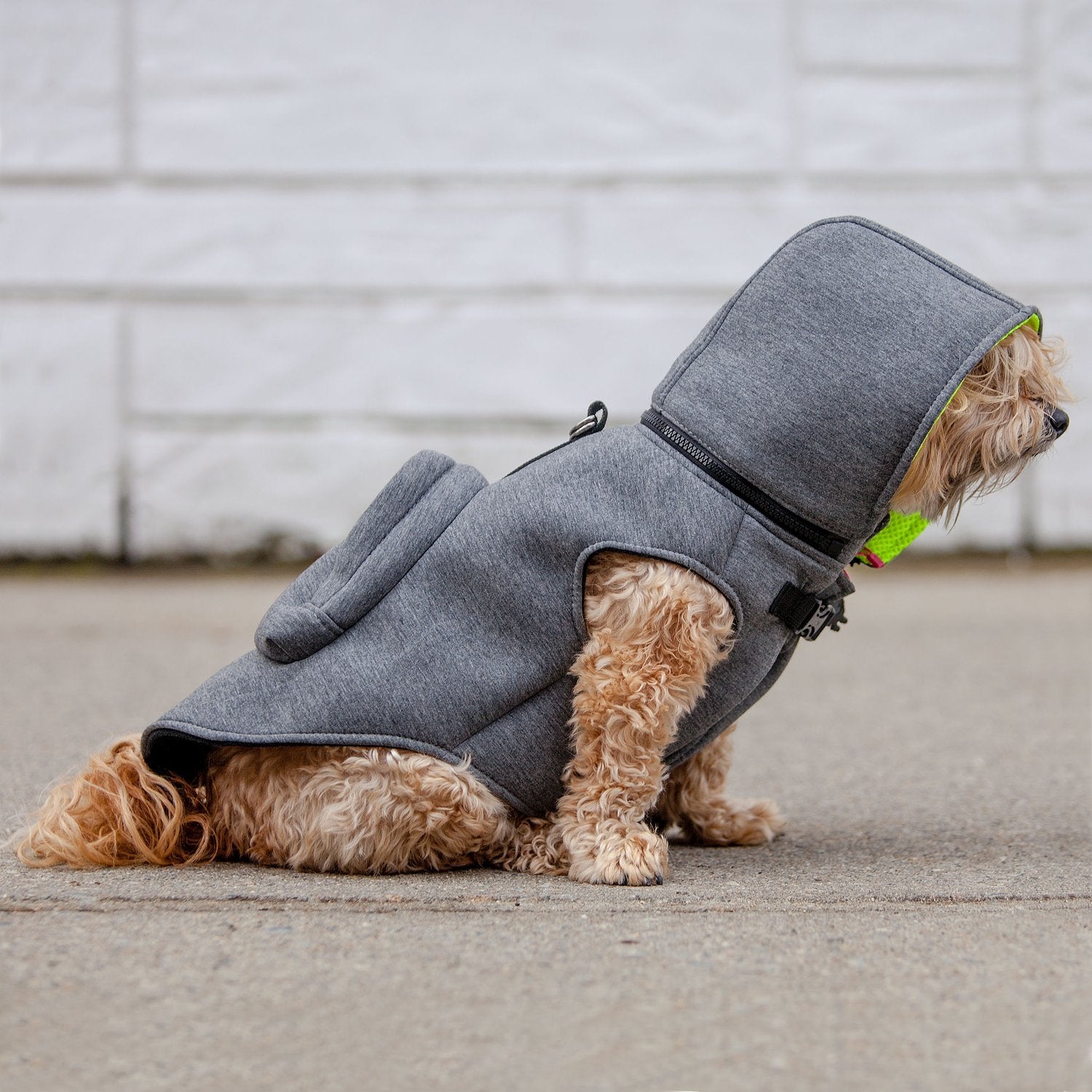 Warm Hoodie Jacket with Backpack - Water-Repellent