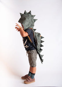 Dinosaur - Little Kids Backpack with Detachable Hood - Water