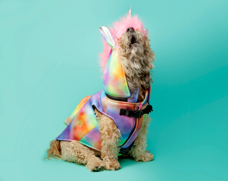 Unicorn Hoodie Jacket with Backpack - Limited Edition - Waterproof